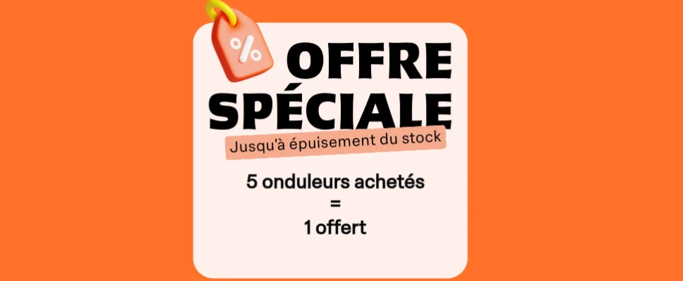 Offre spéciale : Protégez vos appareils 5 onduleurs achetés, 1 offert ! Ne manquez pas cette chance!