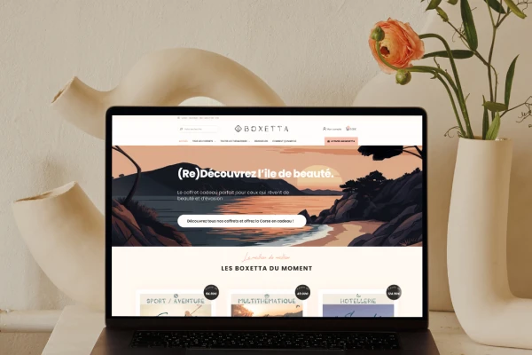 Refonte du Site Internet  A BOXETTA