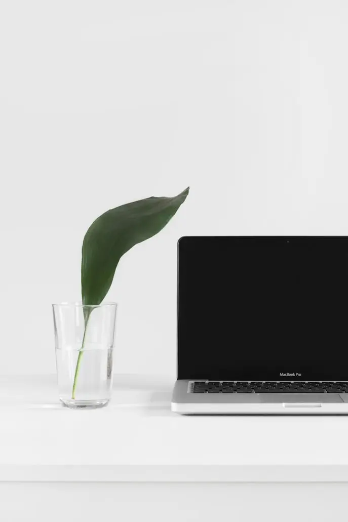 Illustration d'un macbook pro